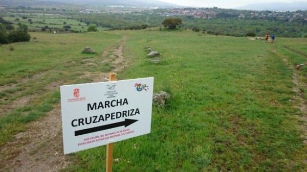 Cruza Pedriza