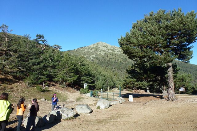 Montón de Trigo 2