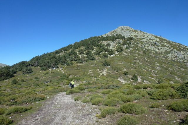Montón de Trigo 3