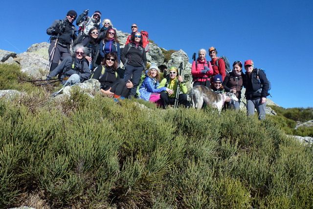 Montón de Trigo 5