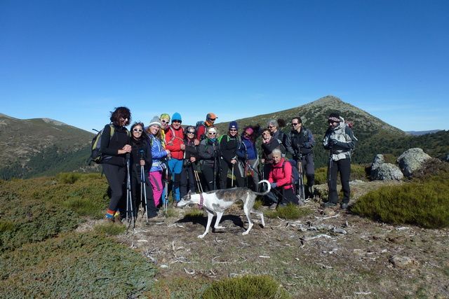 Montón de Trigo 5