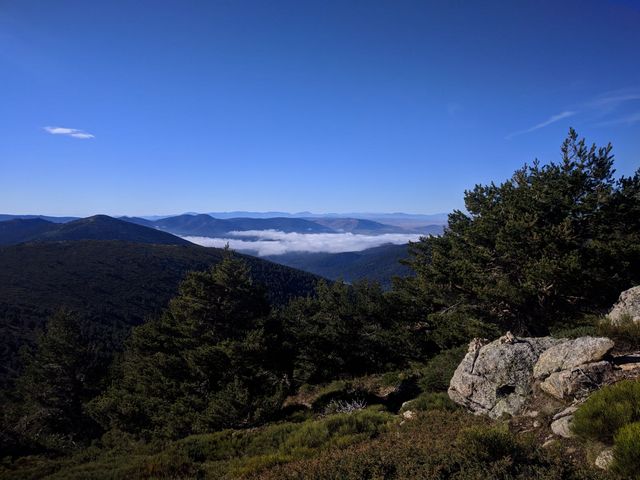 Montón de Trigo 7